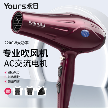 YR家用电吹风-YR-8991(AC)