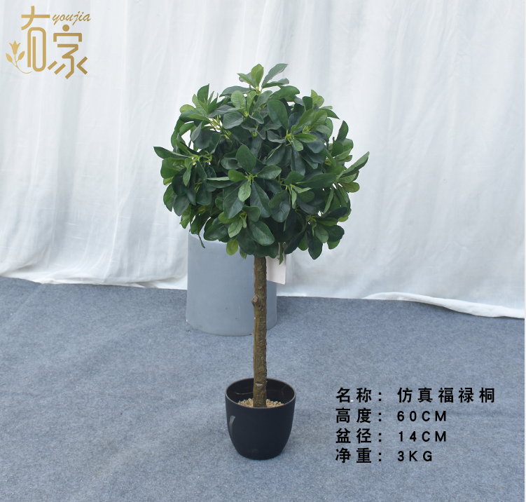 SF福禄桐-FZLZ-005