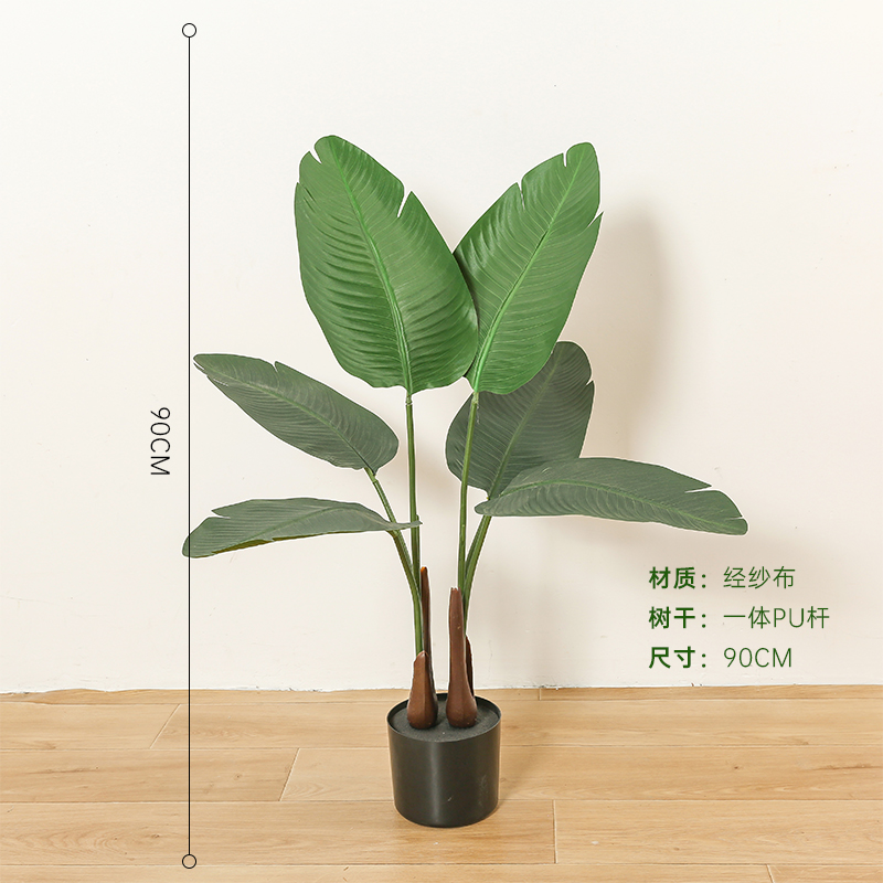 SF旅人蕉-FZLZ-008