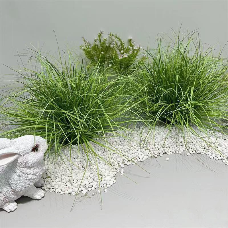 SF洋葱草-FZLZ-032