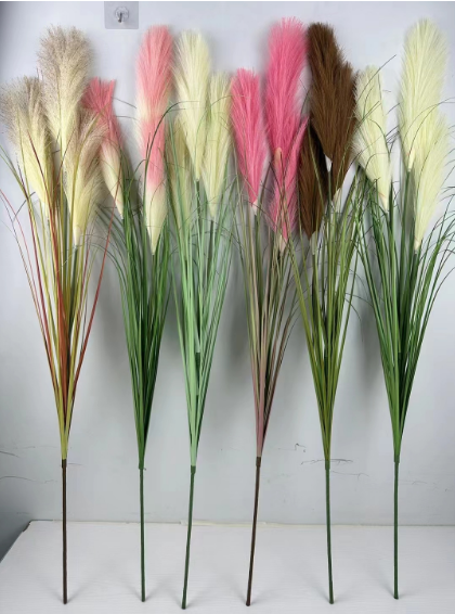 SF洋葱草-FZLZ-033